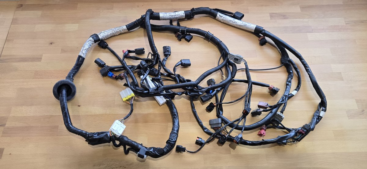 Wiring Specialties Harness