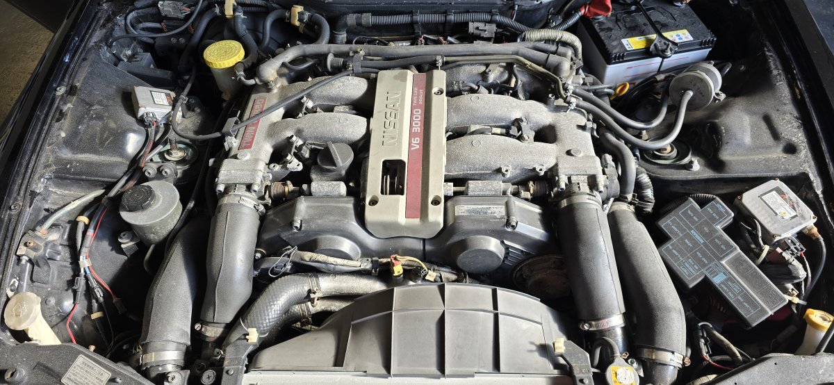 2025-03-08 13.06.43.jpg