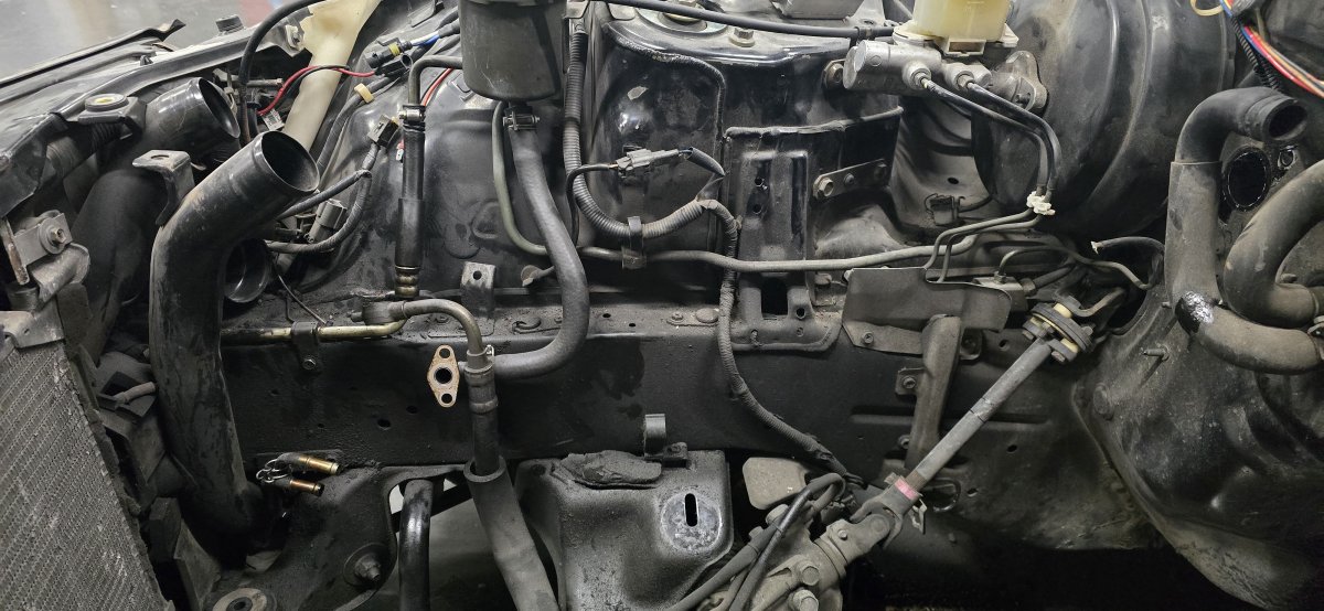 2026-01-25 10.43.15.jpg