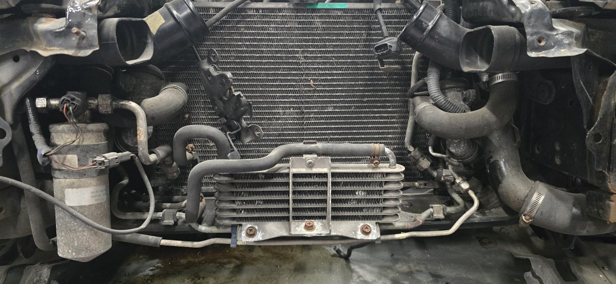 2026-01-25 10.43.23.jpg